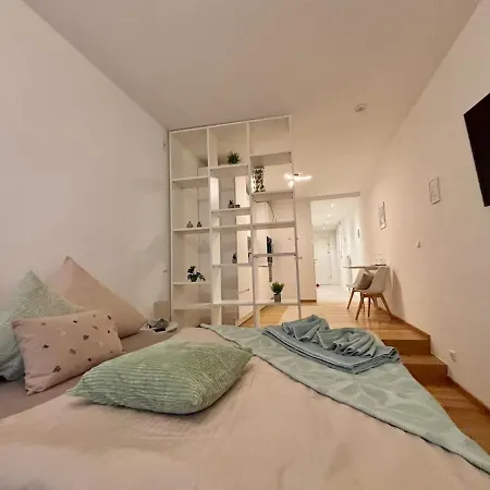 Apartment Neu Renoviert Linzer Altstadt Self Check In *