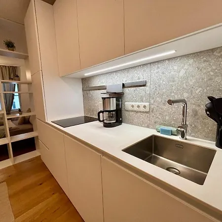 Apartment Neu Renoviert Linzer Altstadt Self Check In Linz
