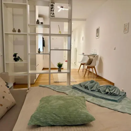 Apartment Neu Renoviert Linzer Altstadt Self Check In Linz