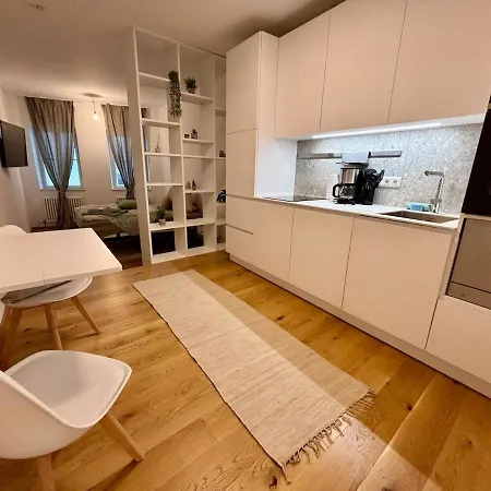 Apartment Neu Renoviert Linzer Altstadt Self Check In Linz
