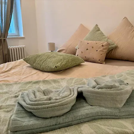 Apartment Neu Renoviert Linzer Altstadt Self Check In *
